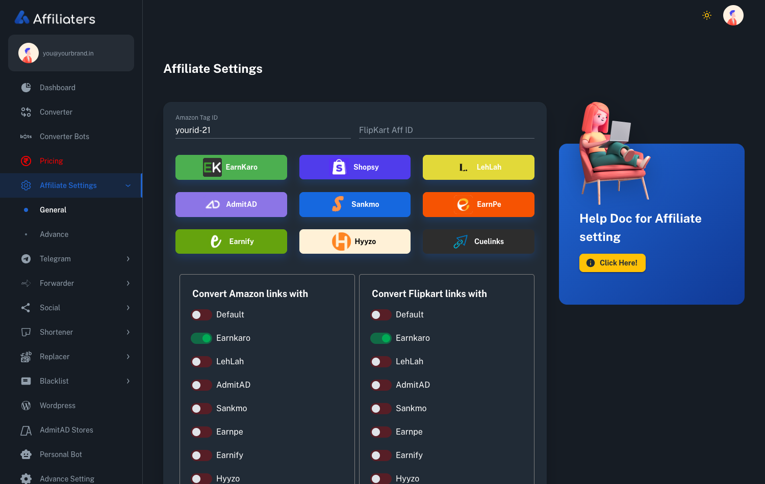Affiliaters affiliate settings screen with the Amazon tag field, network cards and per-store conversion switches